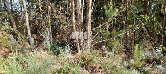 Terreno en Amarante, Portugal 2550 m² No. 56123 14