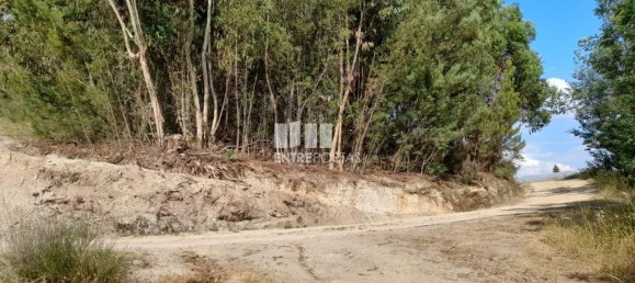 Terreno en Amarante, Portugal 2550 m² No. 56123 5