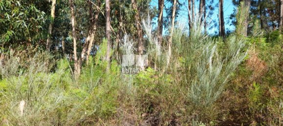 Terreno en Amarante, Portugal 2550 m² No. 56123 13