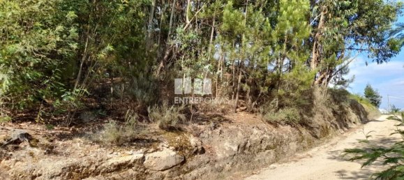 Terreno en Amarante, Portugal 2550 m² No. 56123 11