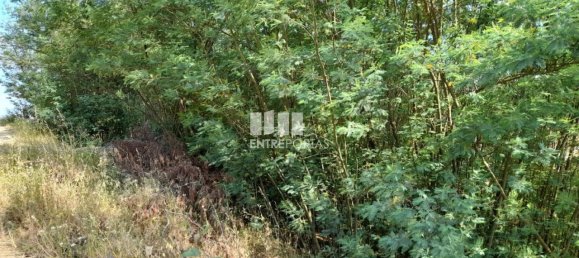 Terreno en Amarante, Portugal 2550 m² No. 56123 31