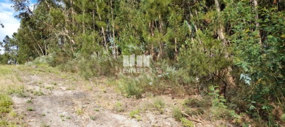 Terreno en Amarante, Portugal 2550 m² No. 56123 28