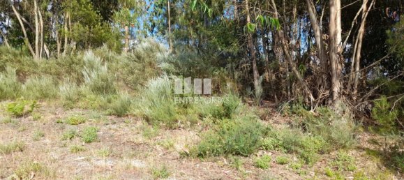 Terreno en Amarante, Portugal 2550 m² No. 56123 24