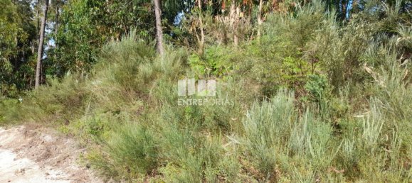 Terreno en Amarante, Portugal 2550 m² No. 56123 20