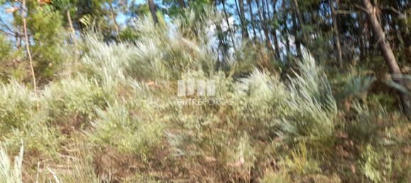 Terreno en Amarante, Portugal 2550 m² No. 56123 15