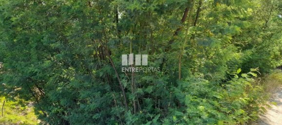 Terreno en Amarante, Portugal 2550 m² No. 56123 9