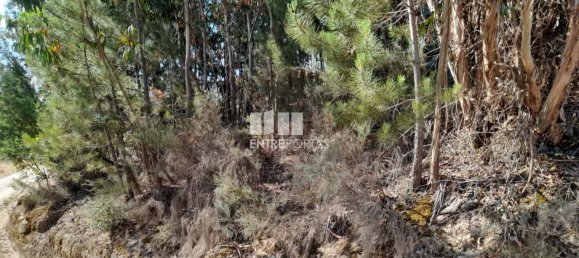 Terreno en Amarante, Portugal 2550 m² No. 56123 8