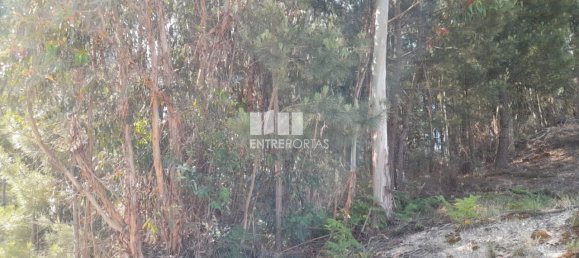 Terreno en Amarante, Portugal 2550 m² No. 56123 6