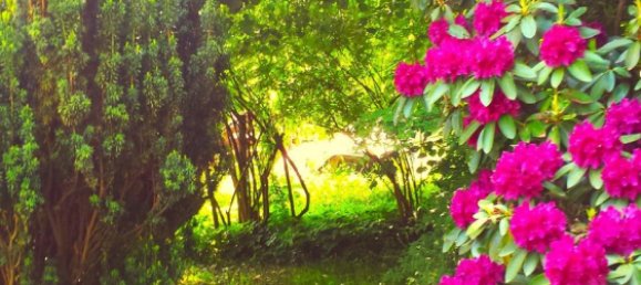 6-Zimmer Stadthaus in Vogelsbergkreis, Germany, Nr. 41851 8