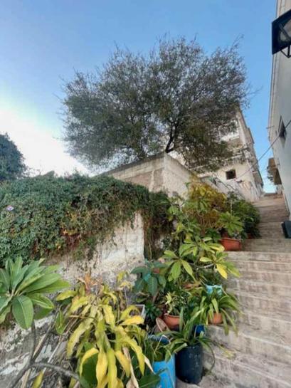 250m² Land in Salobrena, Spain No. 137174