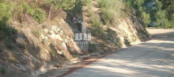 8500m² Land in Marco de Canaveses, Portugal No. 61808 2