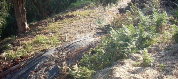 8500m² Land in Marco de Canaveses, Portugal No. 61808 7