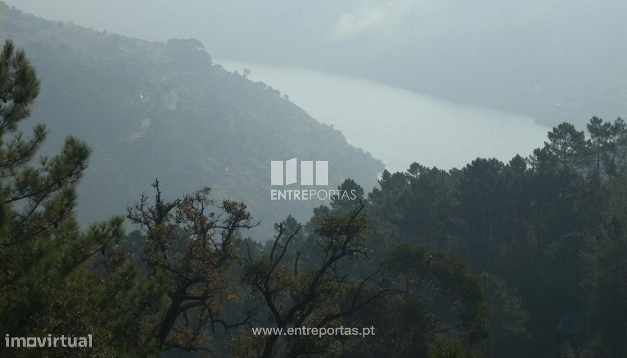 8500m² Land in Marco de Canaveses, Portugal No. 61808