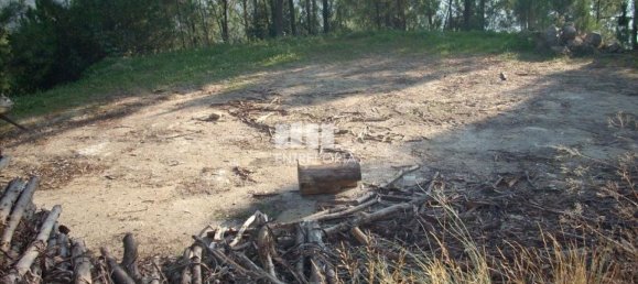 8500m² Land in Marco de Canaveses, Portugal No. 61808 6