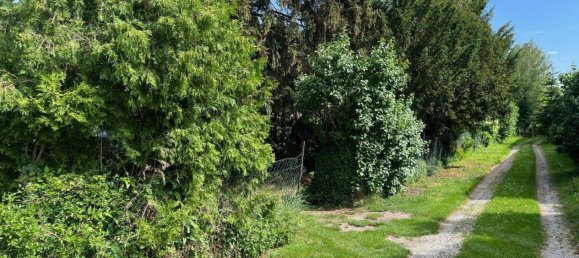  Land in Klosterneuburg, Austria No. 223184 3