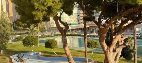 1 Schlafzimmer Wohnung in Benidorm, Spain, Nr. 147946 15