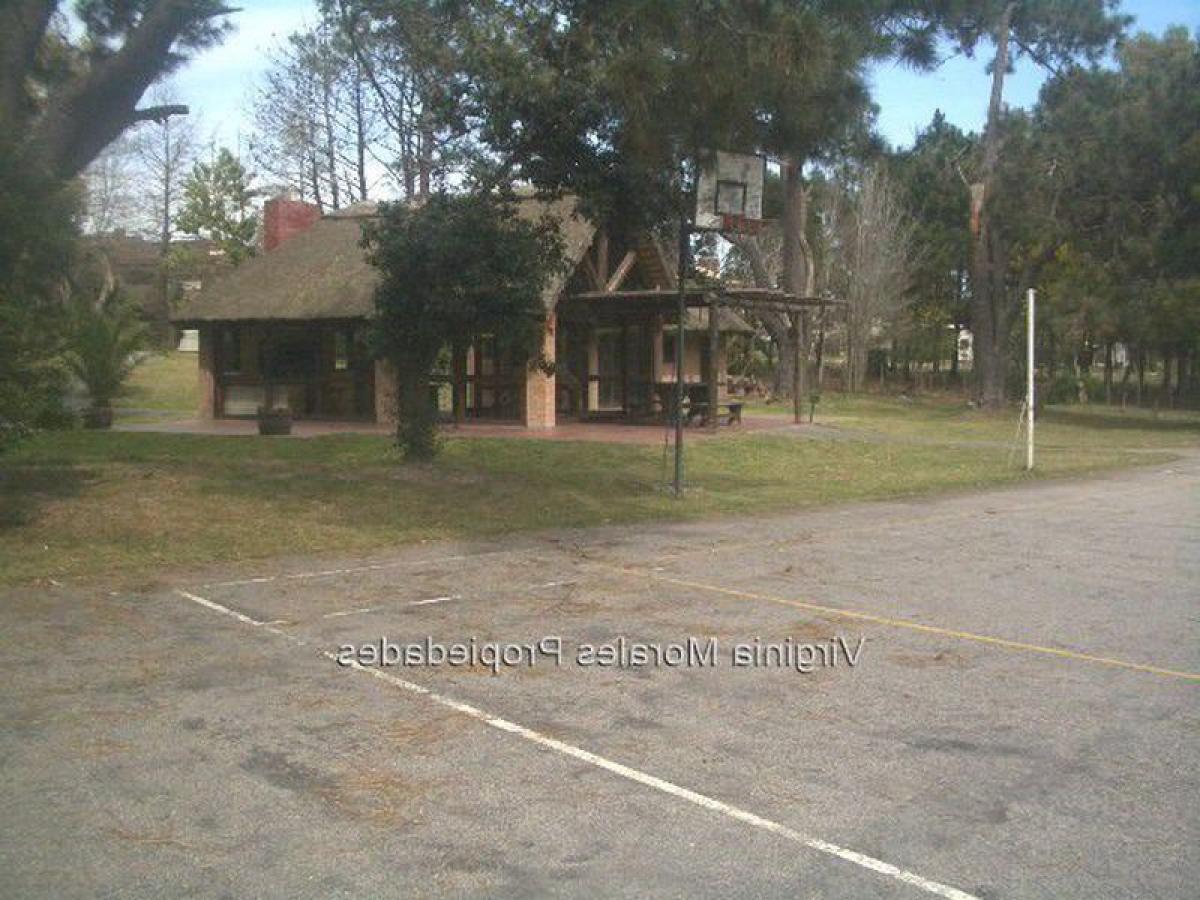 4 Schlafzimmer Haus in Montevideo, Uruguay, Nr. 85