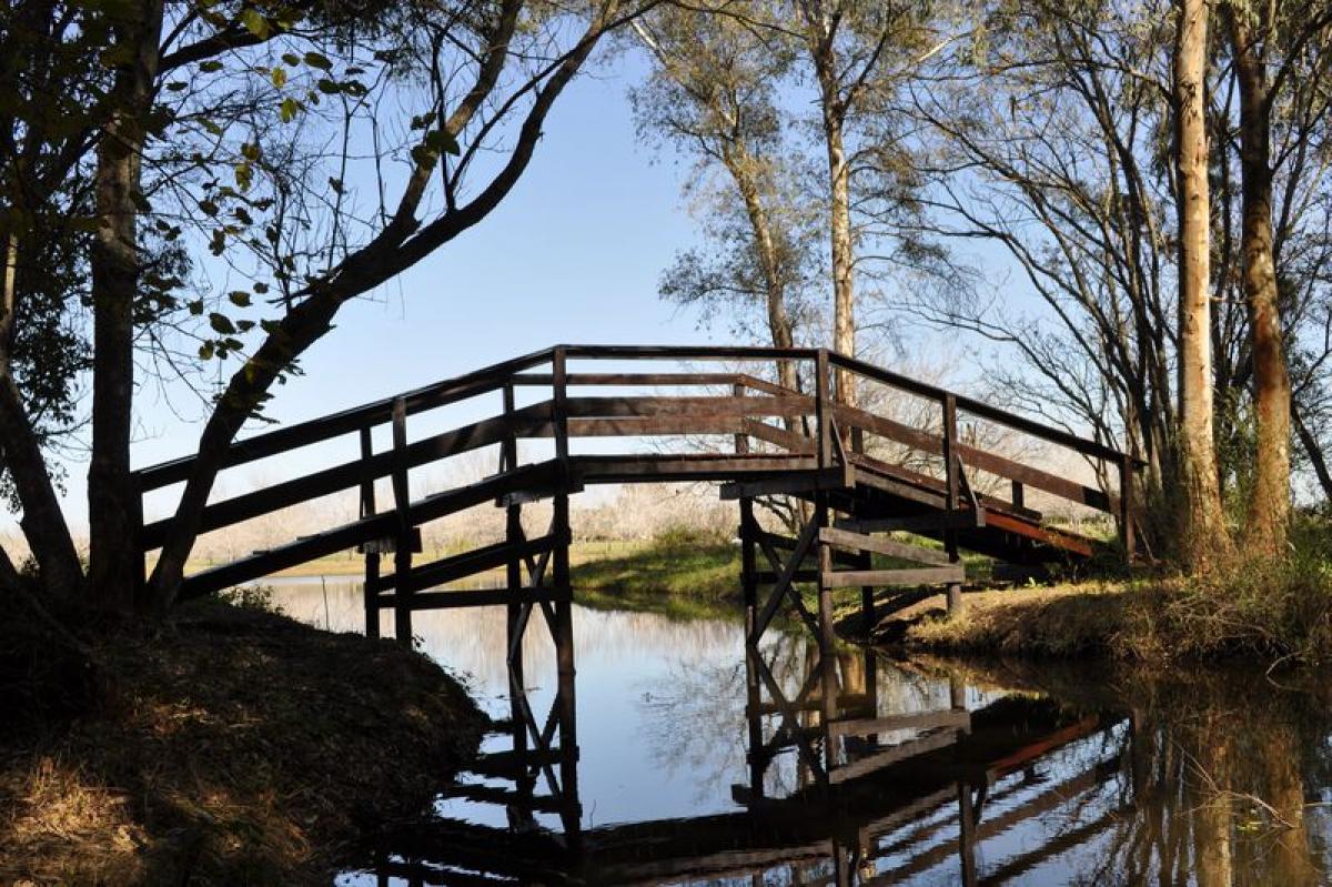 قطعة أرض في Buenos Aires, Argentina رقم 116388