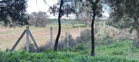  قطعة أرض في Andalusia, Spain رقم 143429 3