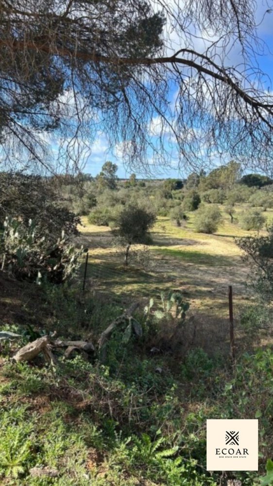  قطعة أرض في Andalusia, Spain رقم 143429