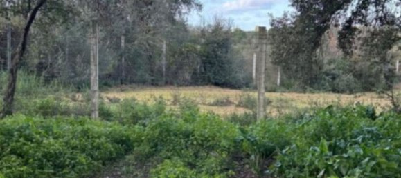  قطعة أرض في Andalusia, Spain رقم 143429 2