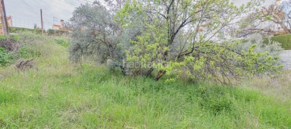 Terreno em Cullar Vega, Spain 500 m² N.º 175738 12