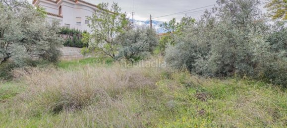 Terreno em Cullar Vega, Spain 500 m² N.º 175738 9