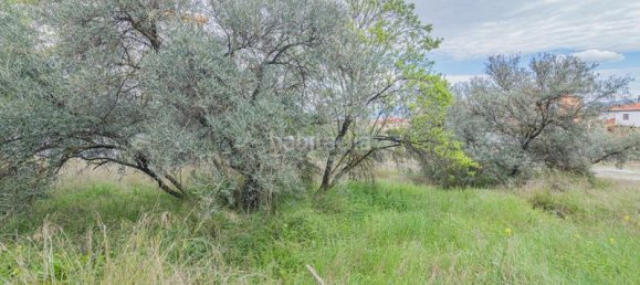 Terreno em Cullar Vega, Spain 500 m² N.º 175738 15