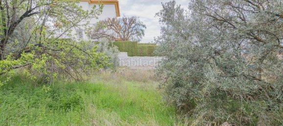 Terreno em Cullar Vega, Spain 500 m² N.º 175738 11