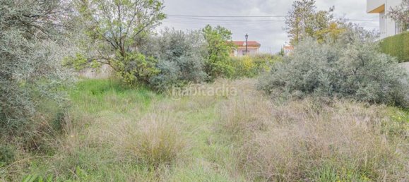 Terreno em Cullar Vega, Spain 500 m² N.º 175738 10