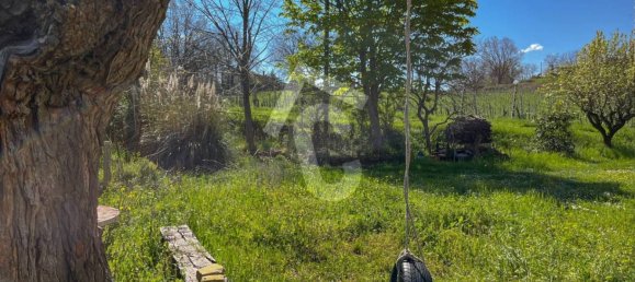 Casa T6 em Serra San Quirico, Italy N.º 272686 15