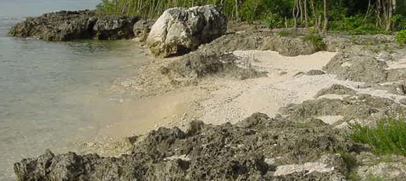 Grundstück in Port-Vila, Vanuatu 4444m², Nr. 16 2