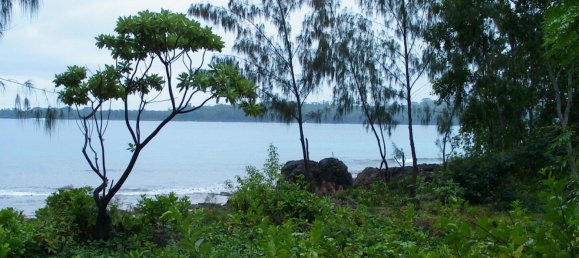 Grundstück in Port-Vila, Vanuatu 4444m², Nr. 16 5