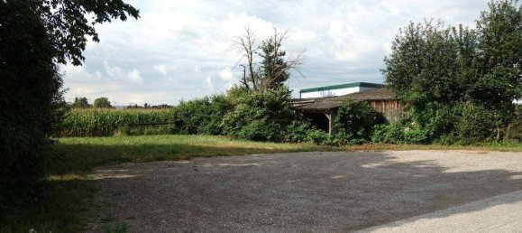 Коммерческая недвижимость с 7 комнатами в Нойленгбах, Австрия № 234428 10