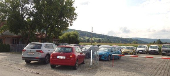 Коммерческая недвижимость с 7 комнатами в Нойленгбах, Австрия № 234428 15