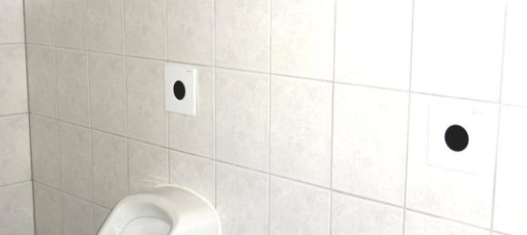 Коммерческая недвижимость с 7 комнатами в Нойленгбах, Австрия № 234428 26