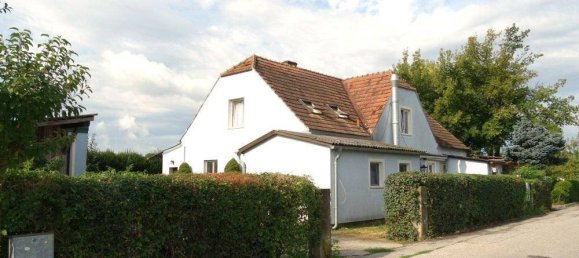 Коммерческая недвижимость с 7 комнатами в Нойленгбах, Австрия № 234428 2