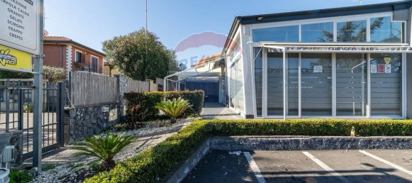 2 rooms Commercial property in San Giovanni la Punta, Italy No. 58575 2