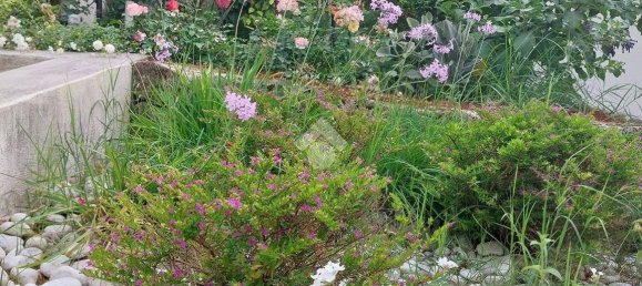 2 Schlafzimmer Wohnung in Ischia, Italy, Nr. 54744 3