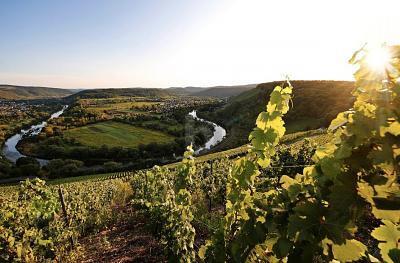 Terreno em Trier-Saarburg, Germany 550 m² N.º 339509