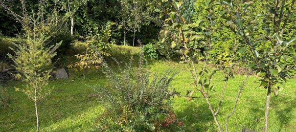 1 غرف نوم تاون هاوس في Siegen-Wittgenstein, Germany رقم 156842 4