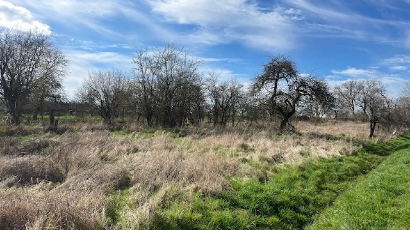  Land in Arracourt, France No. 74282