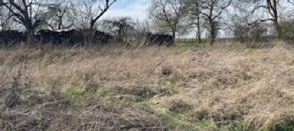  Land in Arracourt, France No. 74282 4