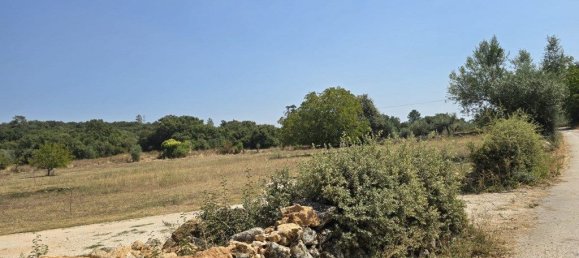  قطعة أرض في Ferreira do Zezere, Portugal 3160متر مربع رقم 330141 14