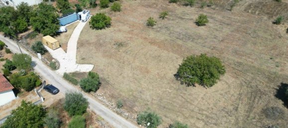  قطعة أرض في Ferreira do Zezere, Portugal 3160متر مربع رقم 330141 4