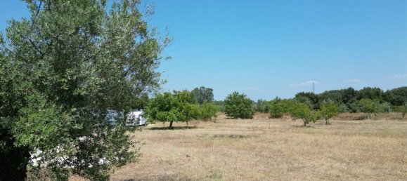  قطعة أرض في Ferreira do Zezere, Portugal 3160متر مربع رقم 330141 11