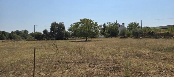  قطعة أرض في Ferreira do Zezere, Portugal 3160متر مربع رقم 330141 9