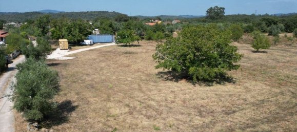  قطعة أرض في Ferreira do Zezere, Portugal 3160متر مربع رقم 330141 6