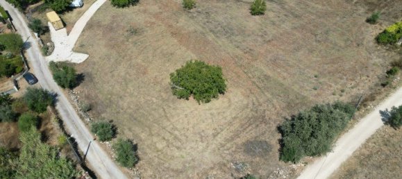  قطعة أرض في Ferreira do Zezere, Portugal 3160متر مربع رقم 330141 2