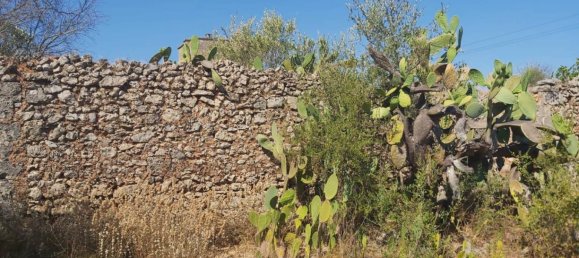 Дом с 1 спальней в Sannicola, Италия № 267734 11